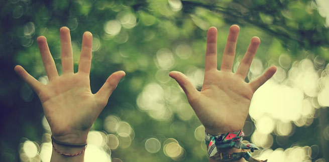 file-20170606-3690-15mo08p A picture of two hands with 10 fingers